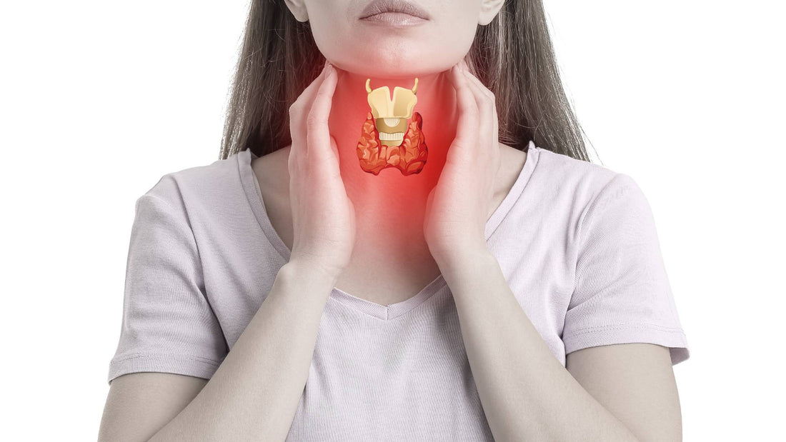 Understanding Thyroid Health: Signs, Symptoms, and Natural Remedies