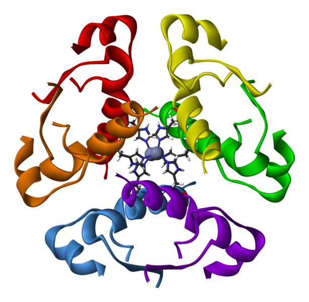 Amino Acid Test