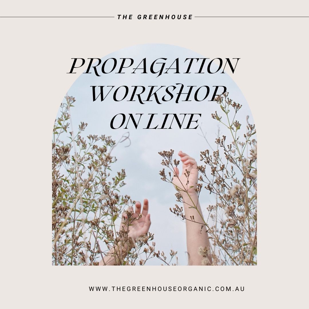 Propagating Workshop - On Line